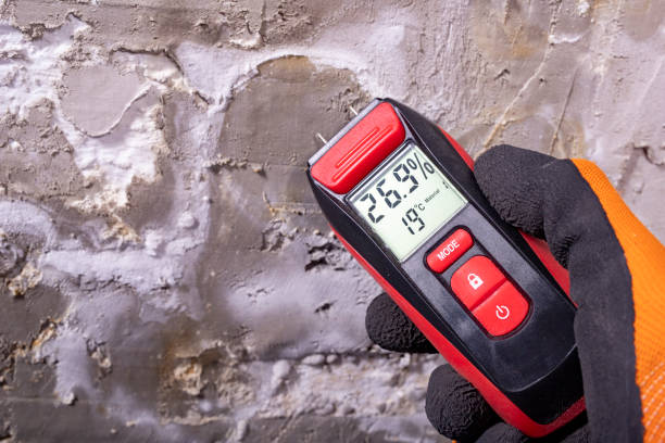 Best Bathroom Mold Remediation in Energy, IL