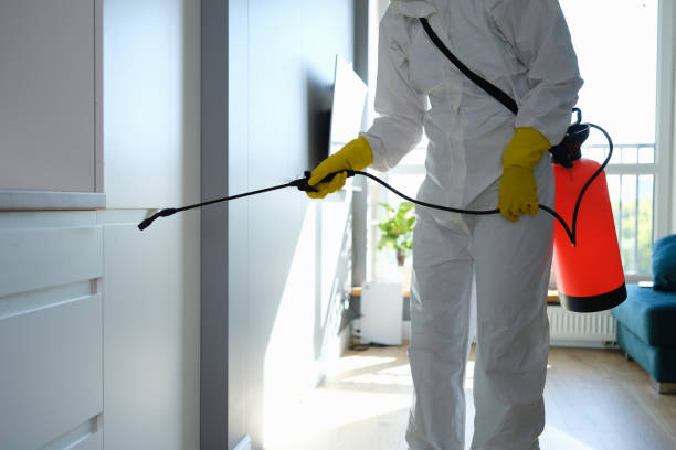 Best Commercial Mold Remediation in Energy, IL